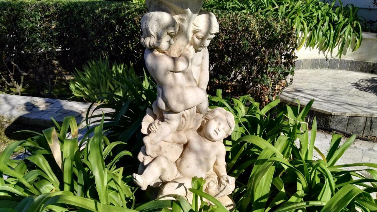טרני Villa Mary מראה חיצוני תמונה