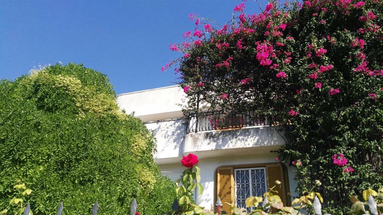 טרני Villa Mary מראה חיצוני תמונה